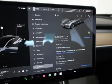 Model 3 Long Range Dual AWD 360Kamera Panorama