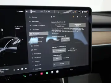 Model 3 Long Range Dual AWD 360Kamera Panorama