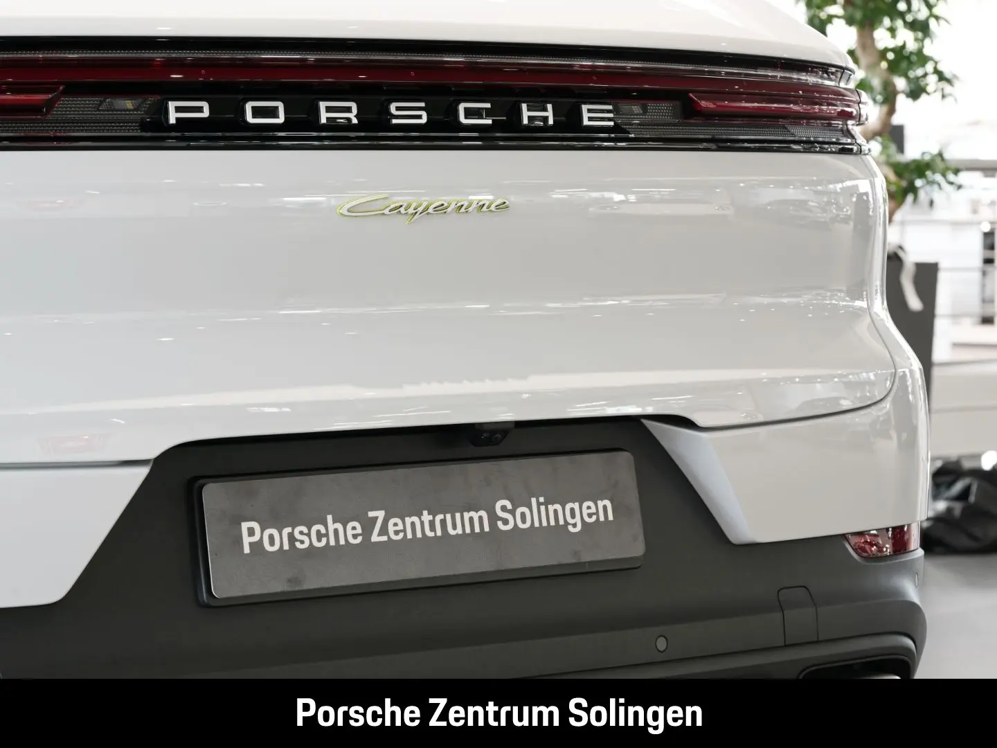 Cayenne E-Hybrid Massage Matrix AirSusp InnoDrive