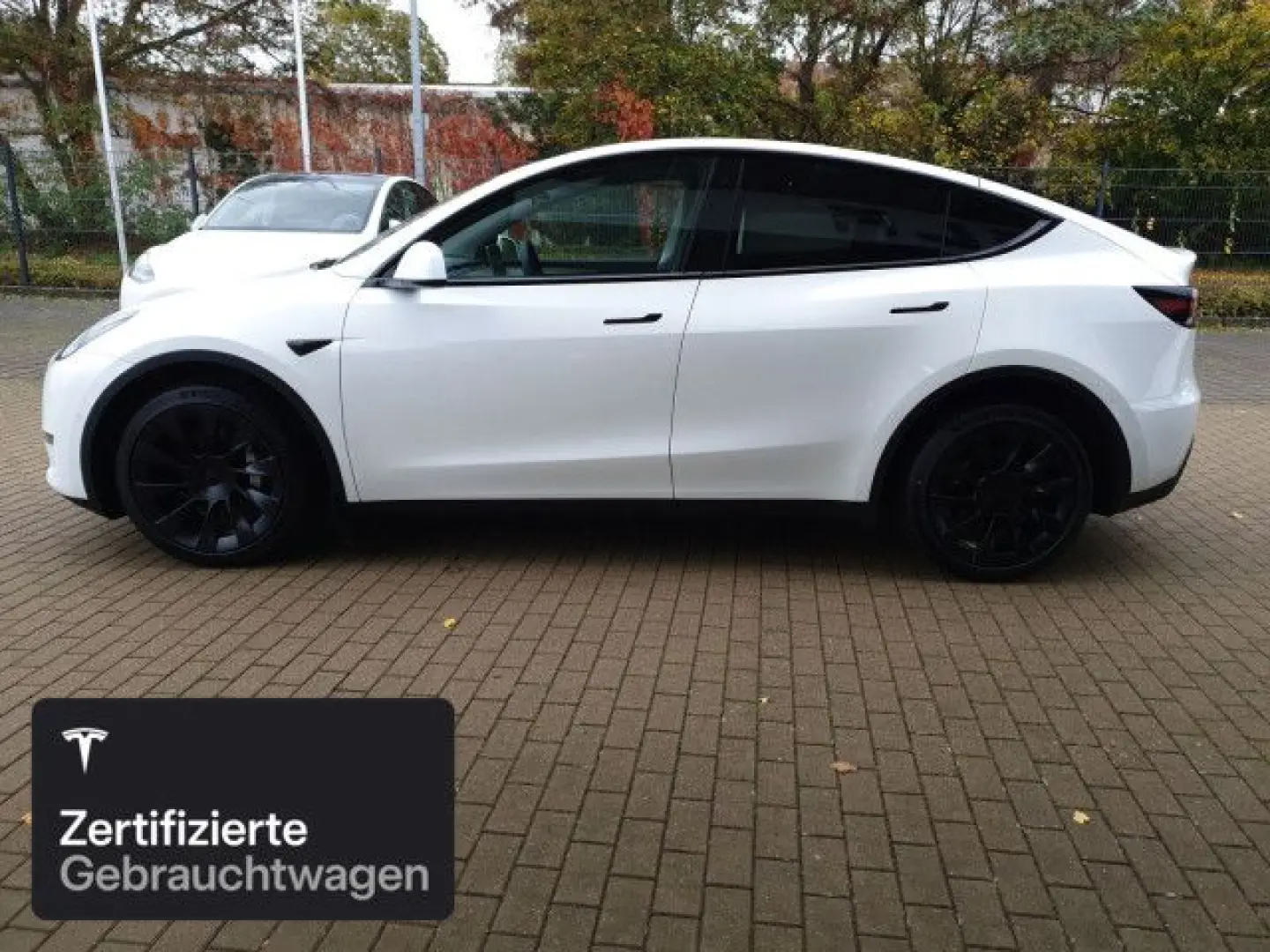 Model Y Long Range AWD