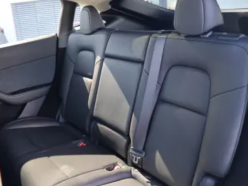 Model Y Long Range Dual AWD   MWST PANO MATRIX