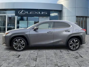 UX 250h Style Edition ACC KAM DAB SHZ LED