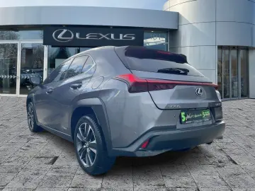 UX 250h Style Edition ACC KAM DAB SHZ LED