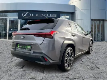 UX 250h Style Edition ACC KAM DAB SHZ LED