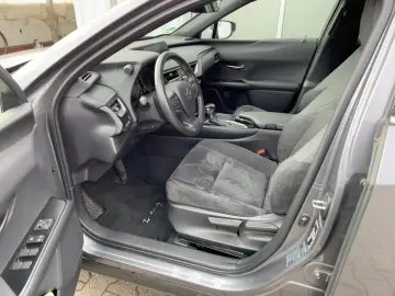 UX 250h Style Edition ACC KAM DAB SHZ LED