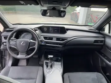 UX 250h Style Edition ACC KAM DAB SHZ LED