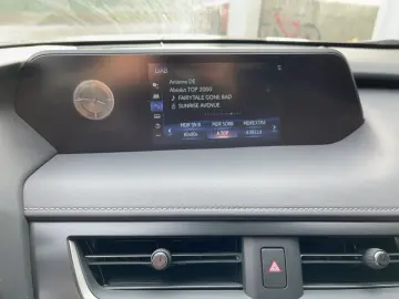 UX 250h Style Edition ACC KAM DAB SHZ LED