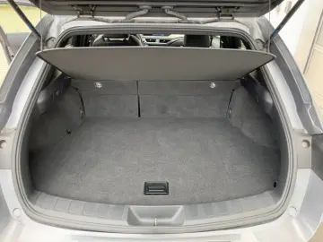 UX 250h Style Edition ACC KAM DAB SHZ LED