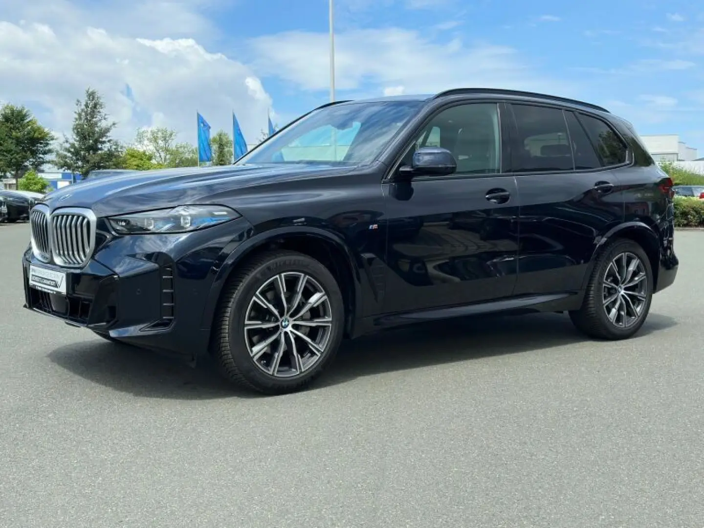 X5 xDrive30d M Sportpaket