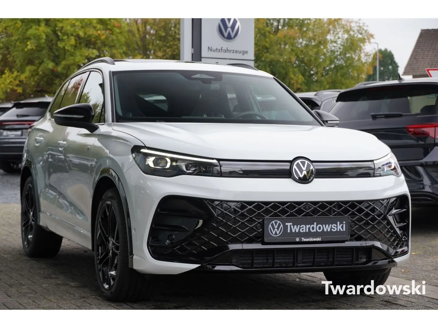 Tiguan R-Line AHK Pano 360  ACC Travel Matrix