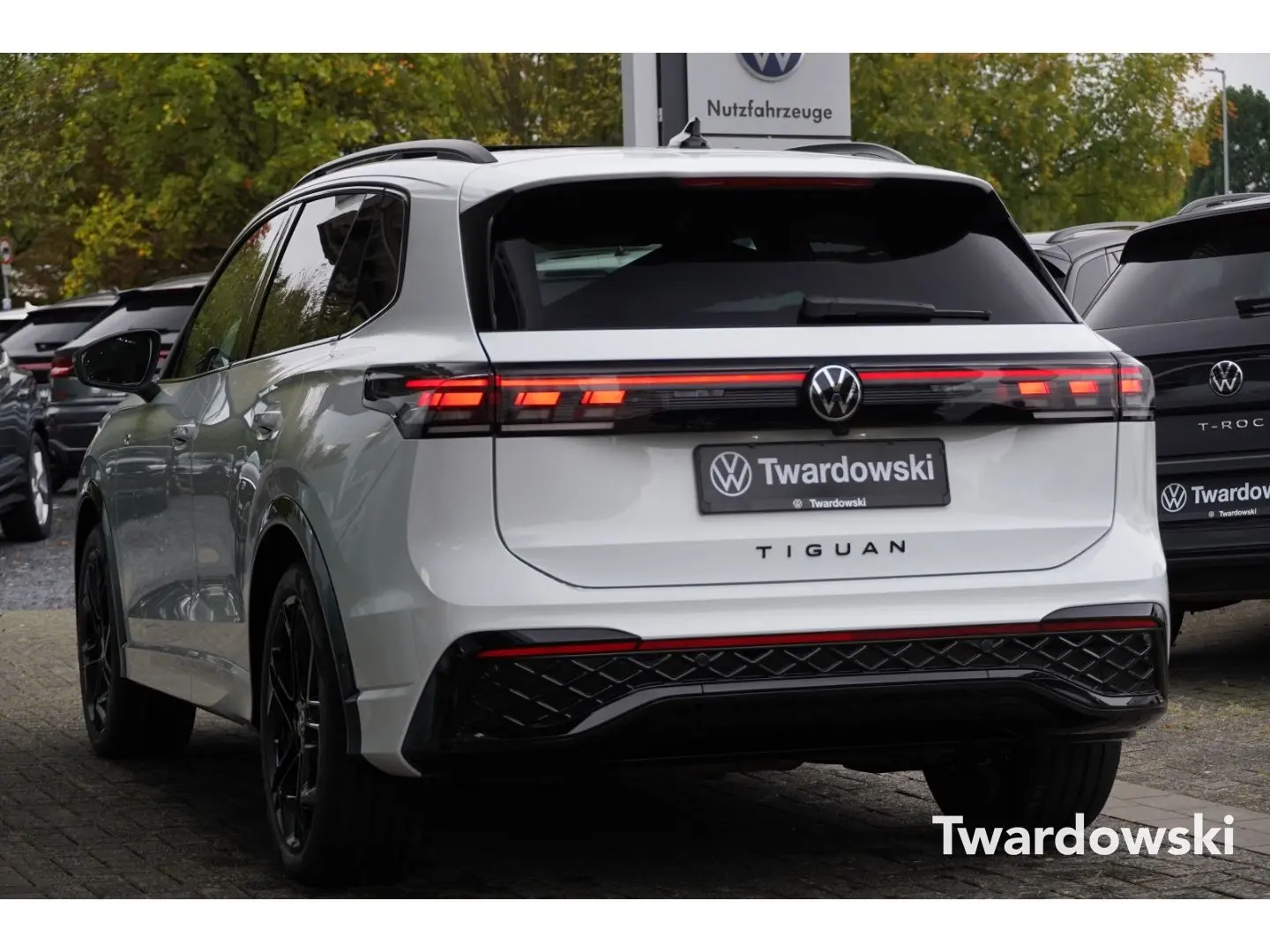 Tiguan R-Line AHK Pano 360  ACC Travel Matrix