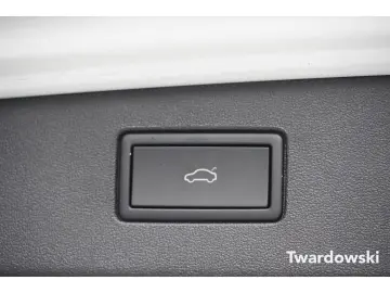 Tiguan R-Line AHK Pano 360  ACC Travel Matrix