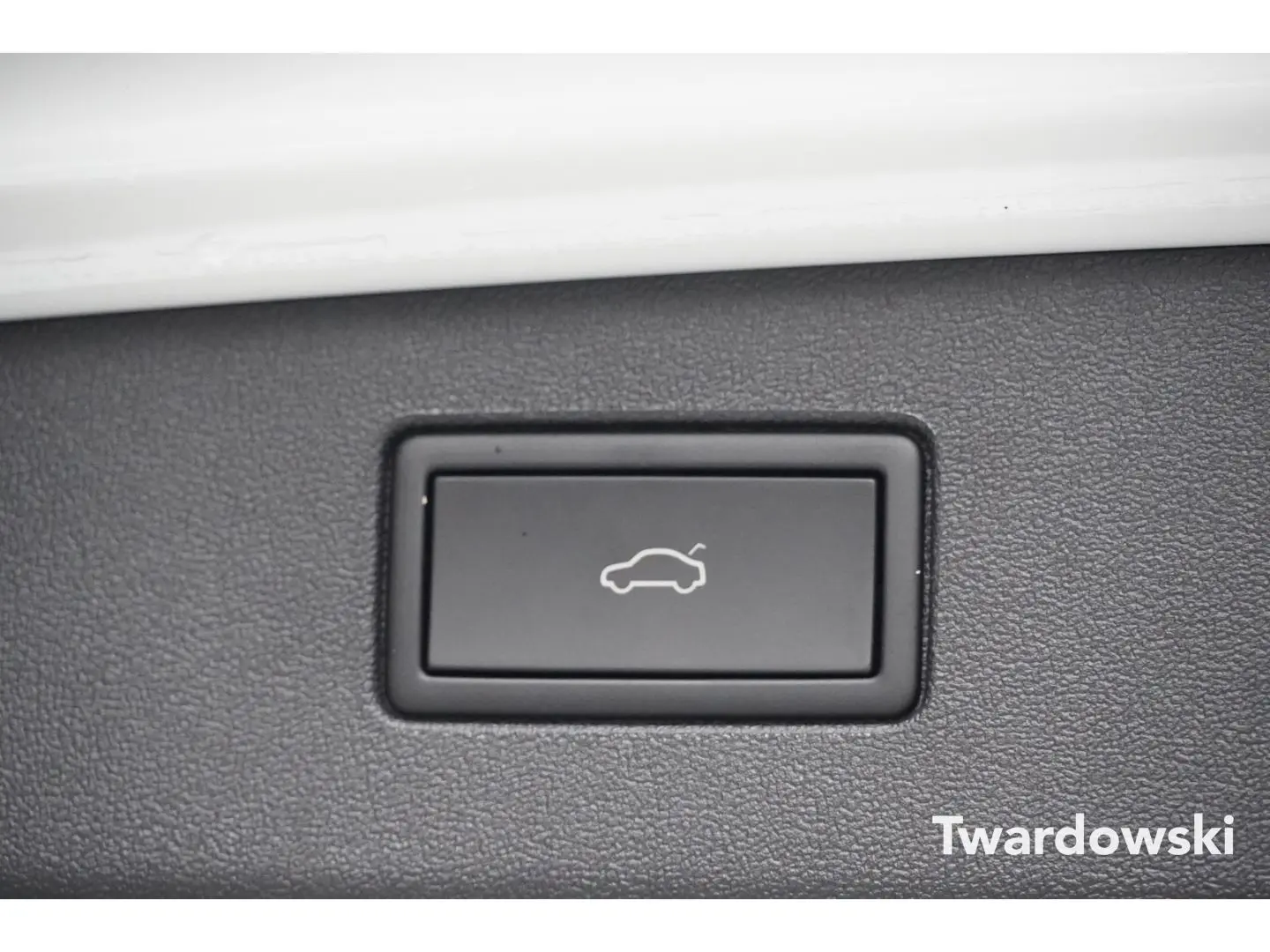 Tiguan R-Line AHK Pano 360  ACC Travel Matrix