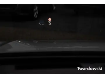 Tiguan R-Line AHK Pano 360  ACC Travel Matrix