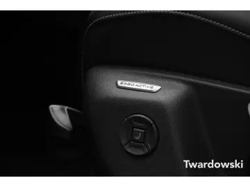 Tiguan R-Line AHK Pano 360  ACC Travel Matrix