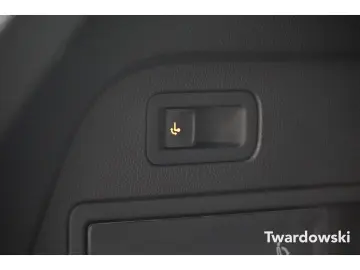 Tiguan Allspace R-Line 4Motion  7-Sitze AHK Pano