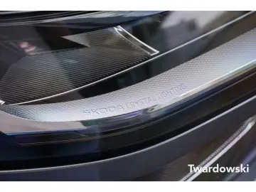 Kodiaq 2.0 TDI 4x4 Selection 7-Sitze PANO AHK AC