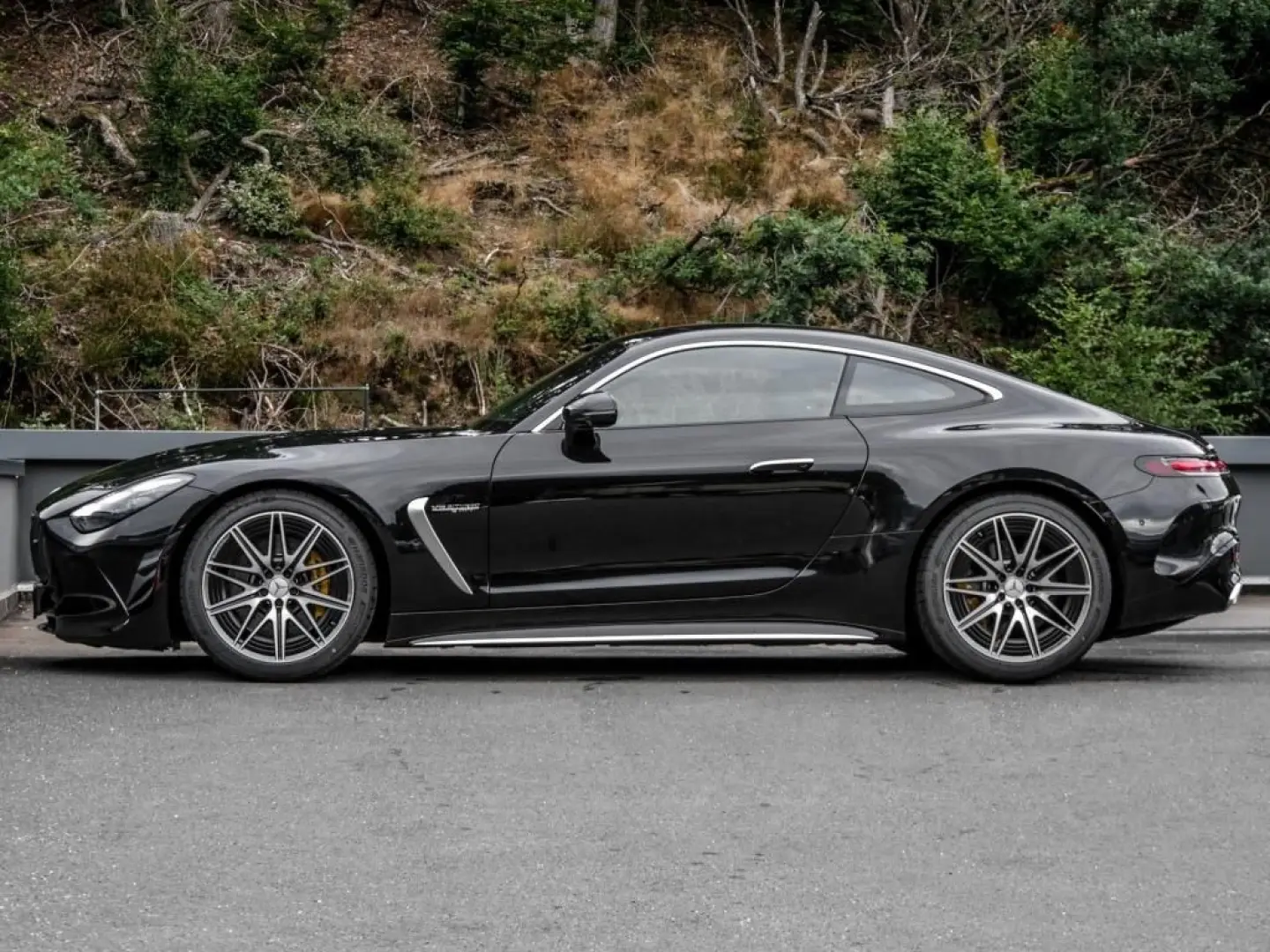 AMG GT 63 4M  Digital Burm 360 Memory Easy-P 20'