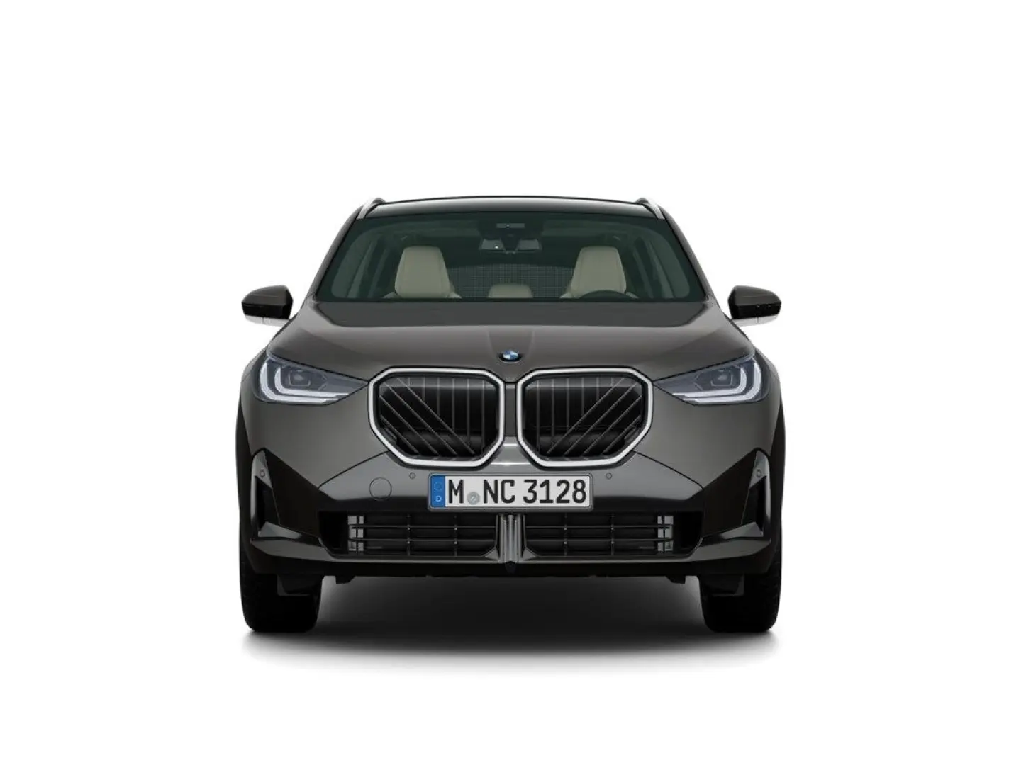 X3 20 xDrive M Sport H&K AHK-klappbar Park-Assis