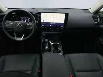 NX 350h Executive Line  Bi-LED 360  ACC el Heck