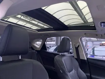 NX 350h Executive Line  Bi-LED 360  ACC el Heck