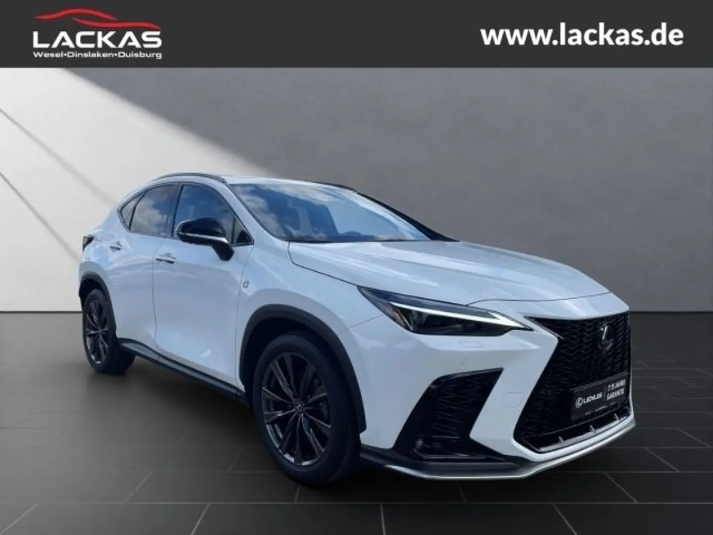 NX 450 h  F Sport Allrad 360 gr ad Head up Displ