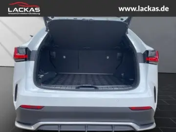 NX 450 h  F Sport Allrad 360 gr ad Head up Displ