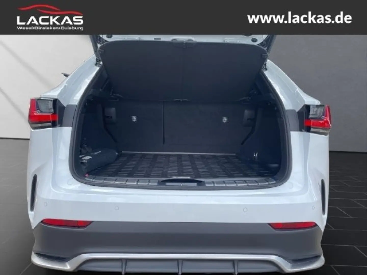 NX 450 h  F Sport Allrad 360 gr ad Head up Displ