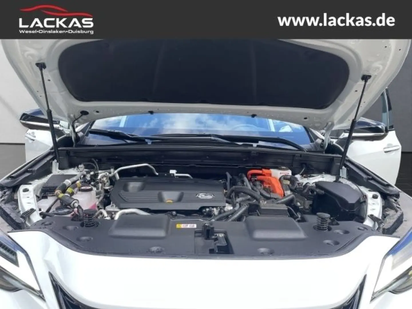 NX 450 h  F Sport Allrad 360 gr ad Head up Displ