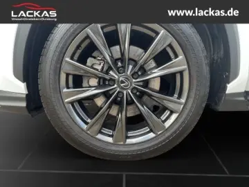 NX 450 h  F Sport Allrad 360 gr ad Head up Displ