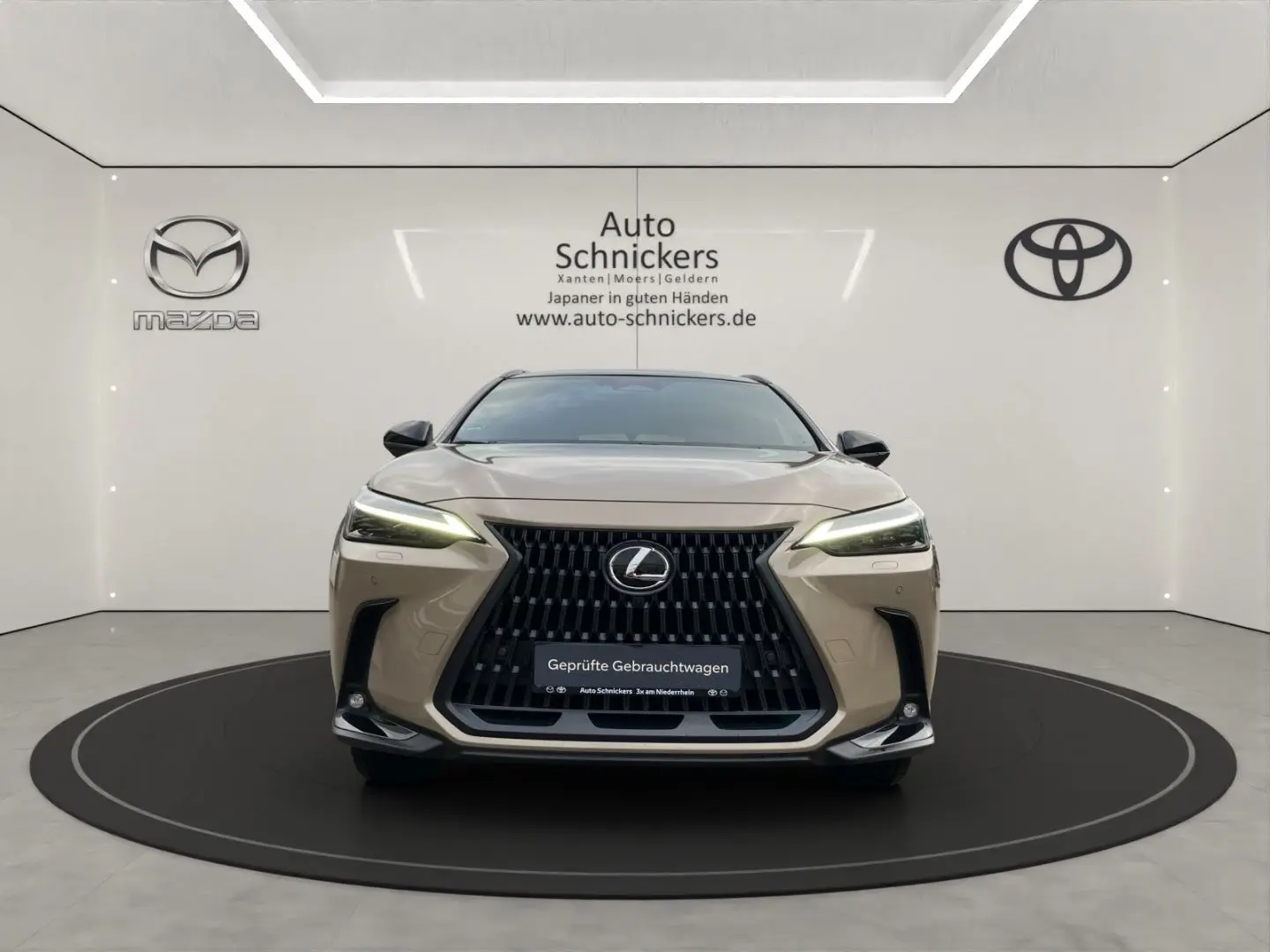 NX 350h E-Four OVETRAIL PANO 8FACH BEREIFT !!