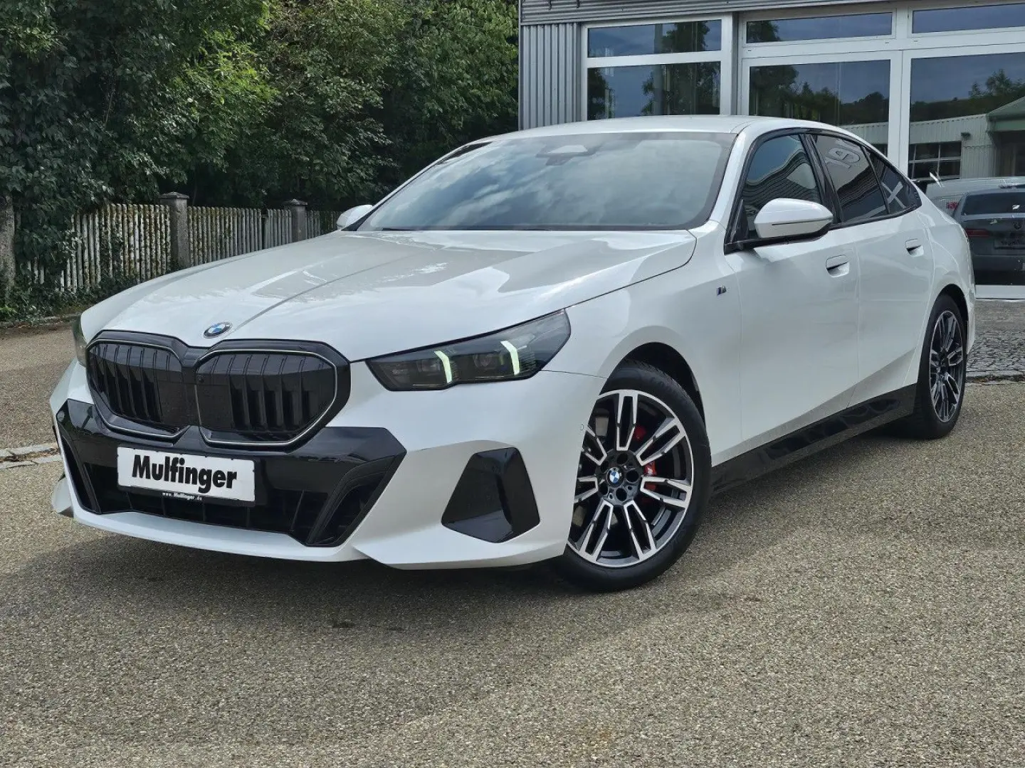 520i M Sport Pro ACC ParkProf.IconGlow HUD AHK