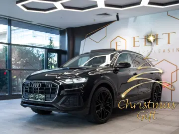Audi Q8 50 TDI Quattro Mild Hybrid tiptronic