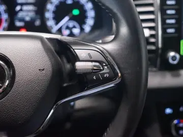 Karoq 2.0 TDI Clever DSG Winter Navi LED Tempoma