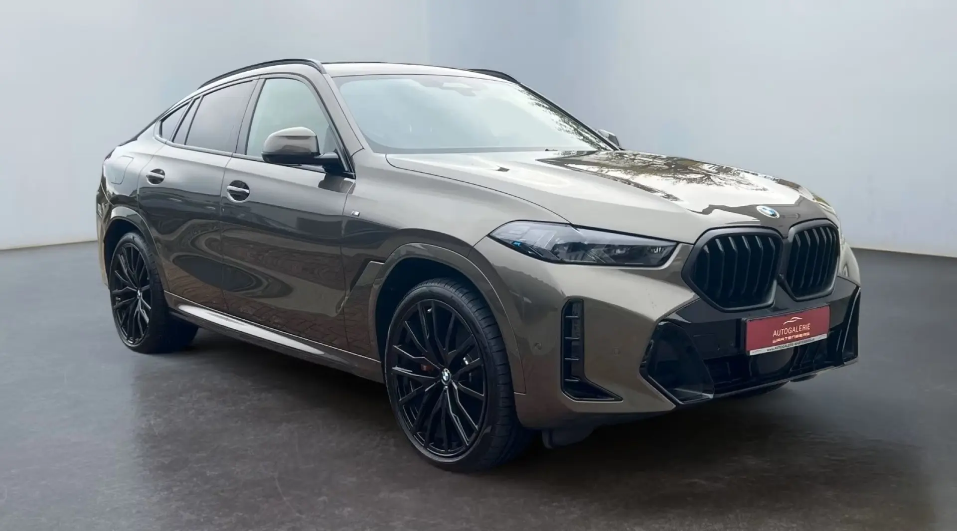 X6 40i xDrive M Sport Paket Pro AHK PANO STHZ
