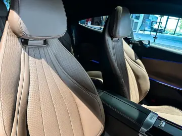 CLE 300 e AMGLiPr DigiL Pano AHK Distro Burmeste