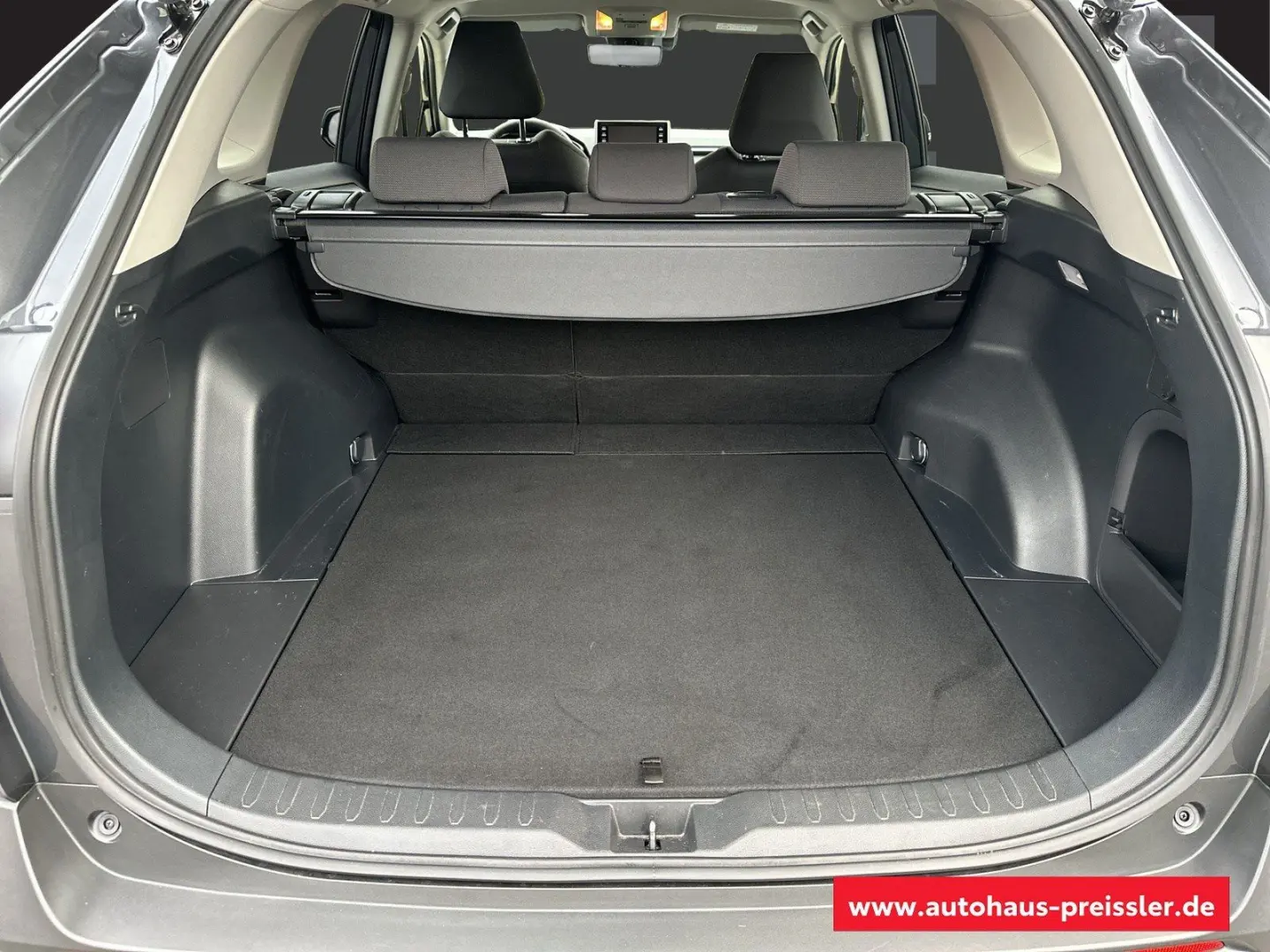 RAV4 Hybrid 4x2 Team Deutschland