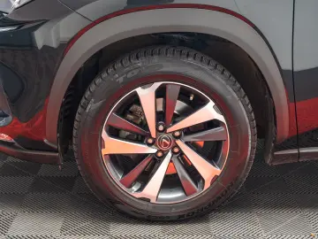 Lexus NX 300h AWD Luxury