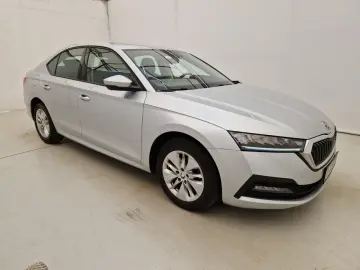 Octavia Automata - GARANTIE