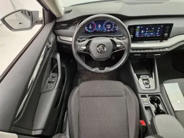 Octavia Automata - GARANTIE