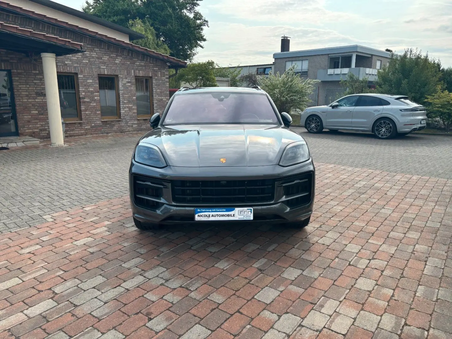 Cayenne S E-Hybrid Hinterachs Lenk Beif Display