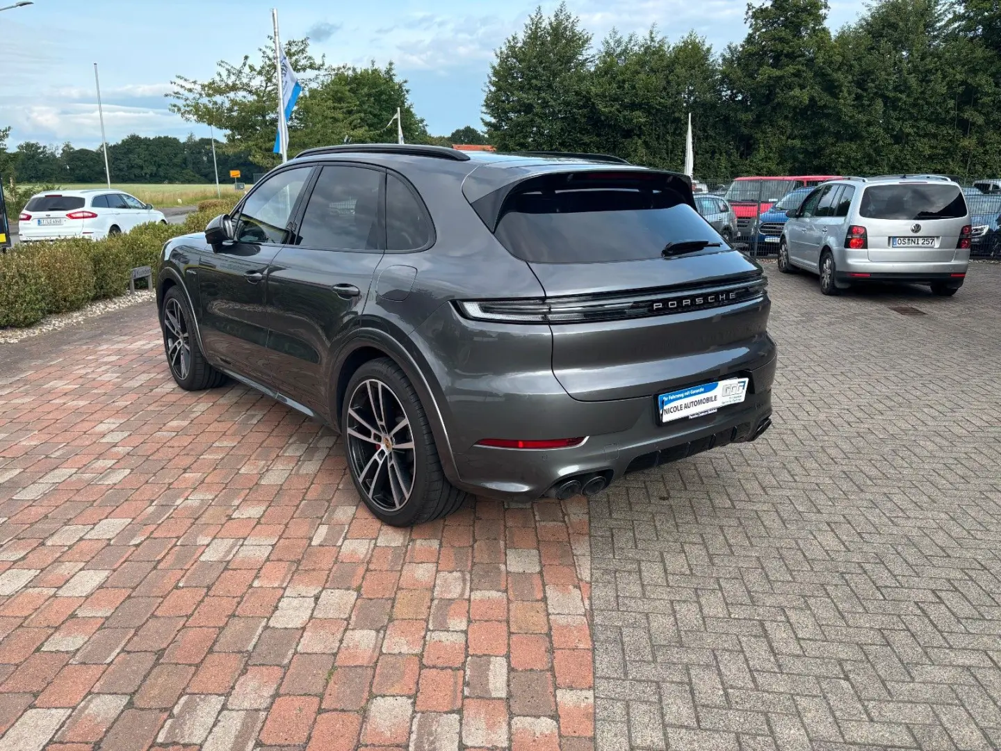 Cayenne S E-Hybrid Hinterachs Lenk Beif Display