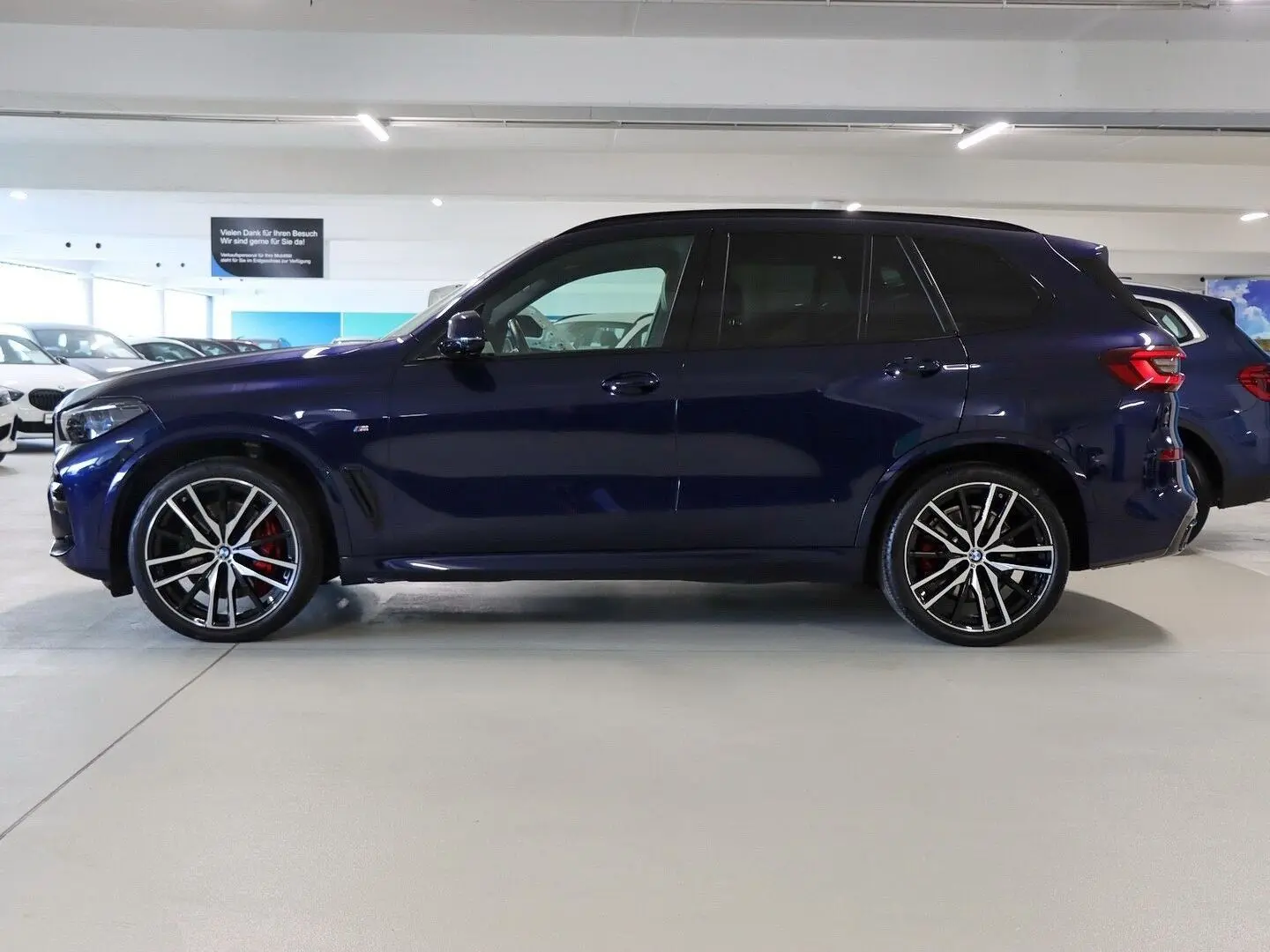 X5 xDrive40d M Sportpaket   Integral-Aktivlenkun
