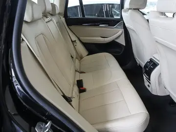 X3 xDrive20d 19 Zoll  Laser  Panorama