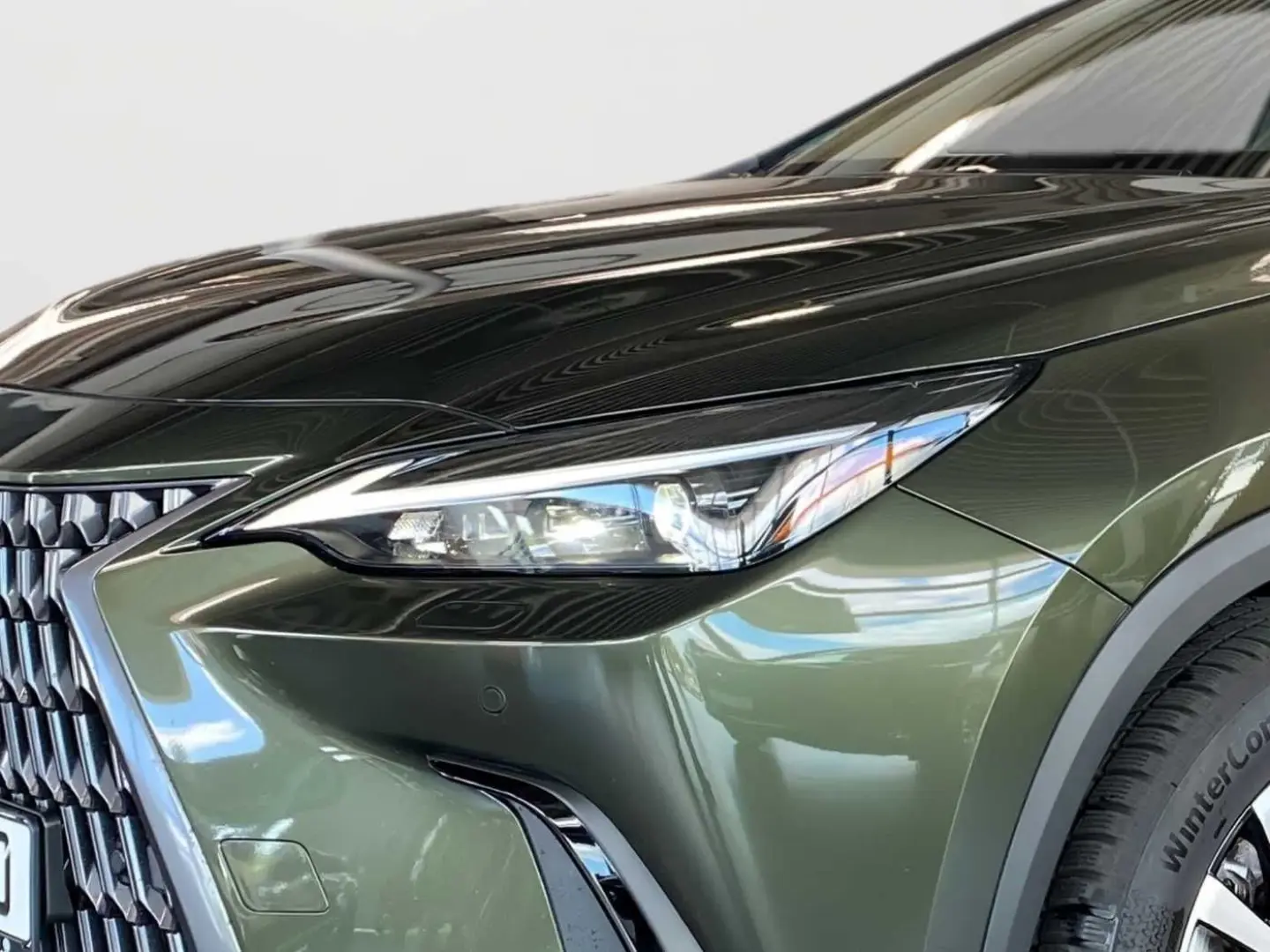 NX 350h Executive Line   Technik   Pano