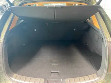 NX 350h Executive Line   Technik   Pano