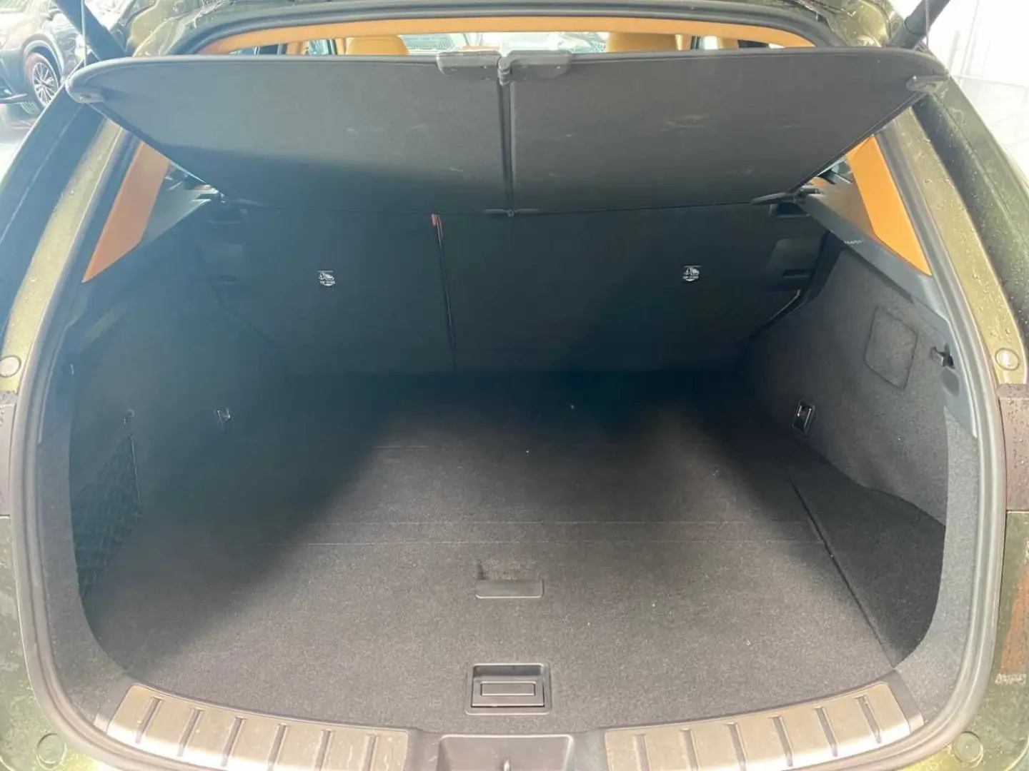 NX 350h Executive Line   Technik   Pano