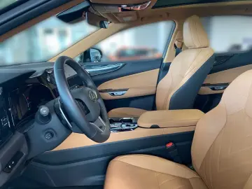 NX 350h Executive Line   Technik   Pano