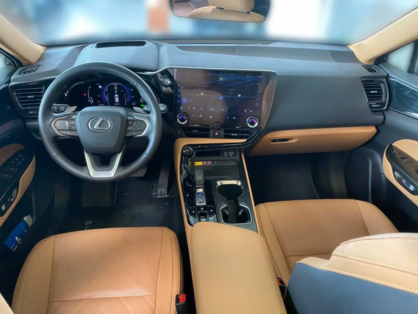 NX 350h Executive Line   Technik   Pano