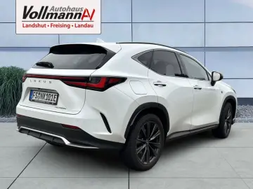 NX 450h  E-FOUR F SPORT-Paket